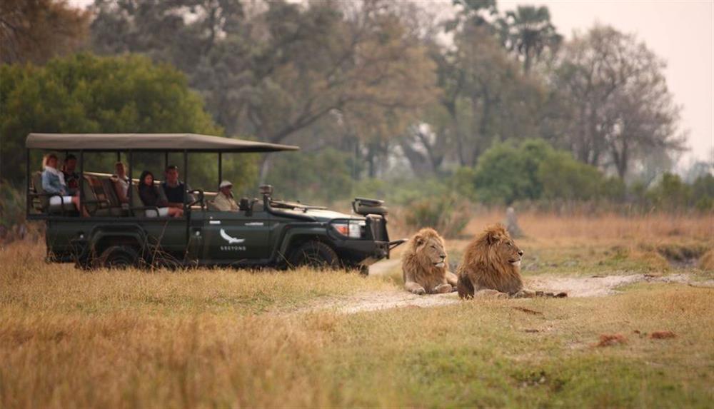 Sandibe Okavango Safari Lodge